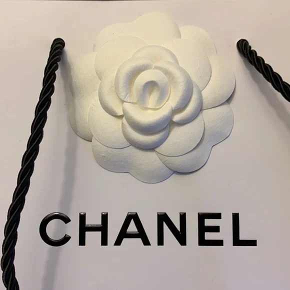 Chanel Retail and Gift Bag combo - Picture 4 of 16